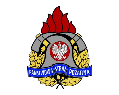 PSP logo